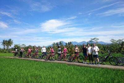 Half-Day Ubud Electric Cycling Tour to Tirta Empul Water Temple - Pedaling Through Rice Paddies and Local Villages