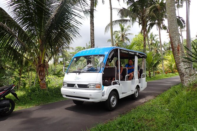 Half Day Ubud Waterfall Tour - Key takeaways before you go
