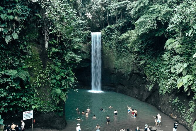 Half Day Ubud Waterfall Tour - Guides, Safety, and Photo Stops That Actually Help