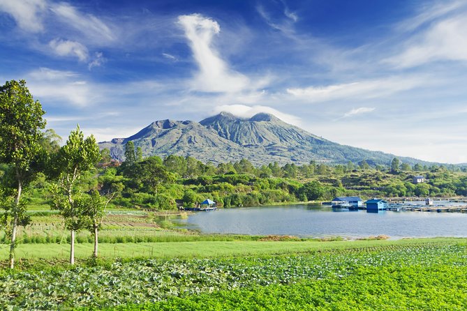 Highlights of Ubud & Mount Batur Volcano - Private Day Trip - Pickup, Ride Time, and Why Timing the Day Matters