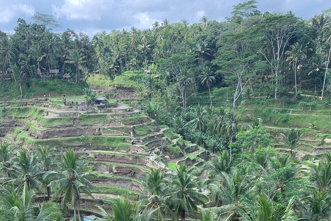 Individual Bali Day Trip with Private Driver and Free WiFi - South Bali in one day: beaches, Uluwatu cliff views, and sunset energy