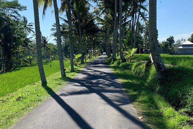 Individual Bali Day Trip with Private Driver and Free WiFi - Central Bali stops: Ubud markets, Tirta Empul purification, and rice-terrace views