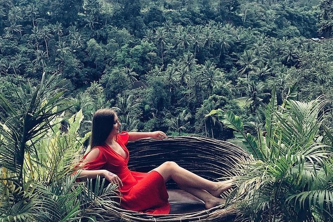 Individual Bali Day Trip with Private Driver and Free WiFi - East and North icons: Gate of Heaven, Tirta Gangga, lakes, and mountain views