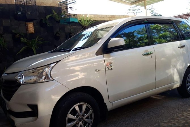 Individual Bali Day Trip with Private Driver and Free WiFi - Photo spots, market stops, and what you can skip