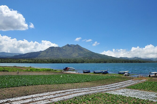 Kintamani Lake & Volcano Tour - Holy Springs: Healing Lore and a Short Story Stop