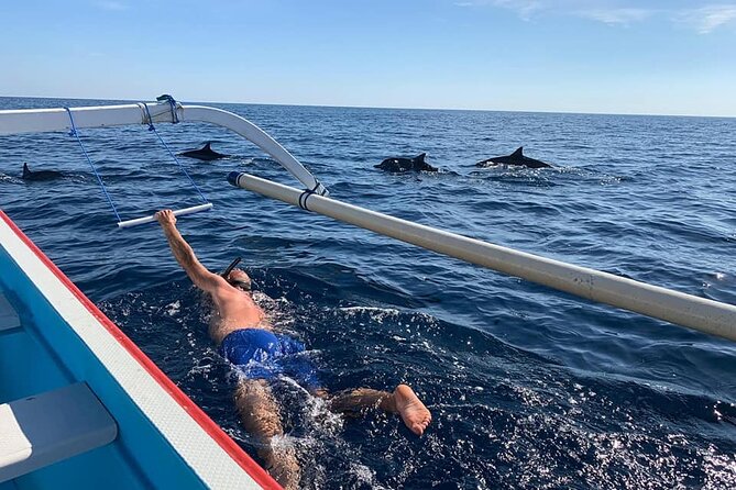Lovina Dolphin Watching, Swimming, and Snorkeling Experience - Key highlights you should care about