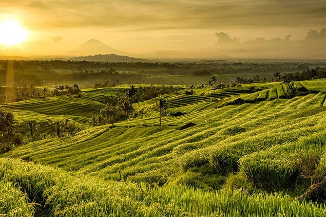 More Complete: Discover Bali In 3 Days Private Tour Package - Why the Guide Matters More Than You Think