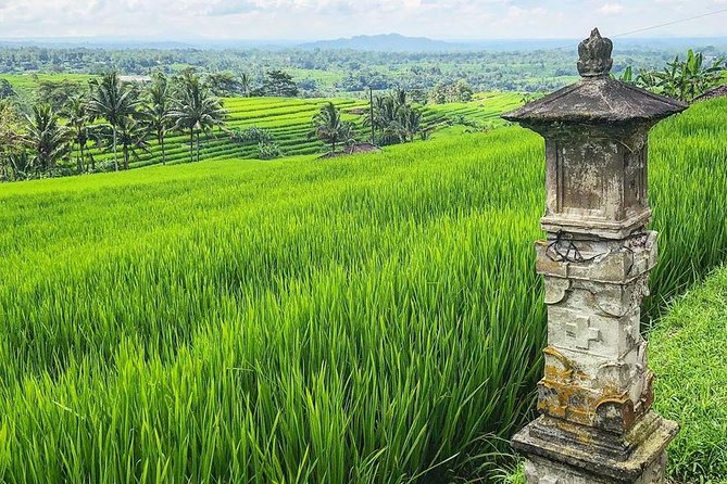 More Complete: Discover Bali In 3 Days Private Tour Package - Transportation, Vehicle Size, and Comfort