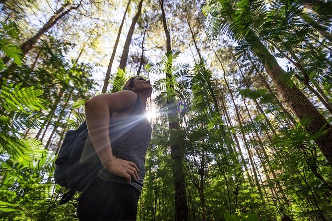 Mount Batur Sunrise Hike with Breakfast - Food, Water, and Keeping Your Energy Up