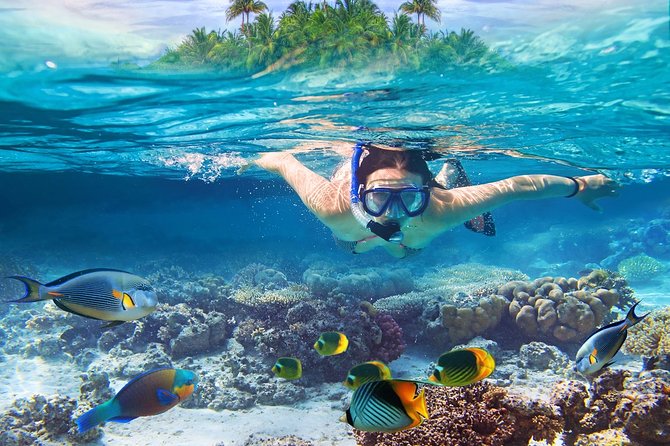 Nusa Lembongan Island: Snorkeling & Mangrove Forest Day Tour - The 12-hour Nusa Lembongan day: timing that actually works