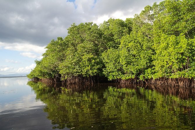 Nusa Lembongan Island: Snorkeling & Mangrove Forest Day Tour - Mangrove forest boat ride: the scenery shift after the reef