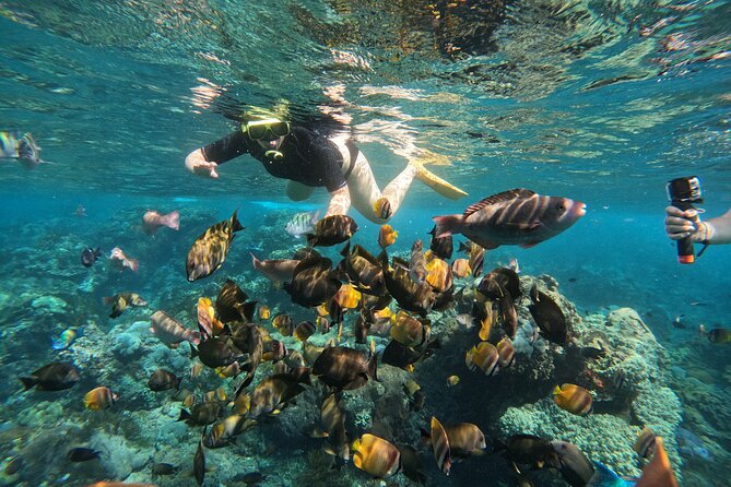Nusa-Penida customize Tour - All inclusive - Boat ride reality check: check-in, crowding, and motion sickness
