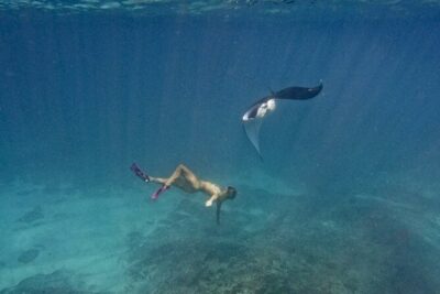 Nusa Penida day trip: boat, 4 snorkeling, Manta rays & Land tour - Mangrove Point drift snorkeling: your first reef taste of Penida