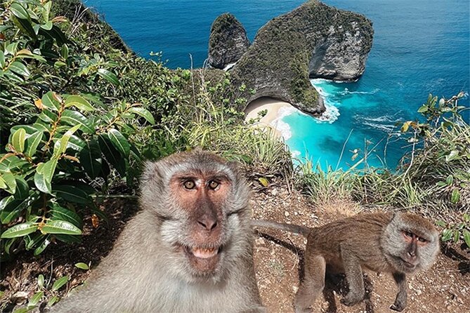 Nusa Penida day trip: boat, 4 snorkeling, Manta rays & Land tour - Lunch on Penida with infinity-pool style views