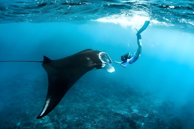 Nusa Penida Island Beach Tour With Snorkeling - Departure From Bali Island - Key things to know before you go
