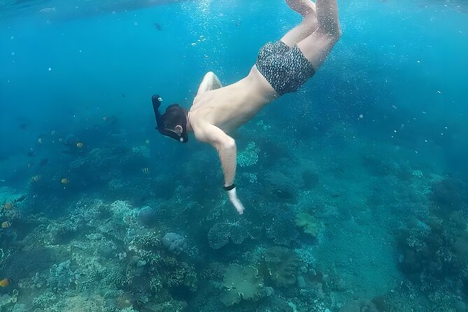 Nusa Penida Island Beach Tour With Snorkeling - Departure From Bali Island - Lunch on Penida: refuel like you mean it