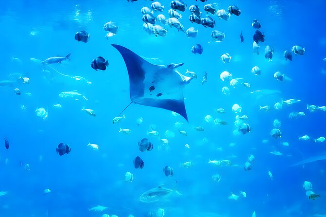 Nusa Penida Island Beach Tour With Snorkeling - Departure From Bali Island - Price and value: what $120 covers (and what it doesn’t)