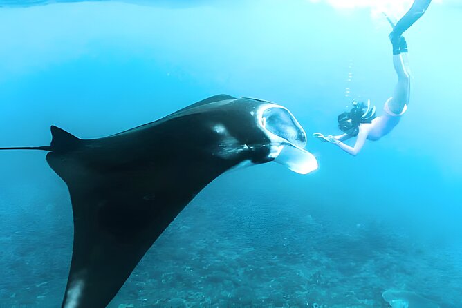 Nusa Penida Island Beach Tours with Snorkeling From Bali - Price and What You’re Really Buying for $137.75