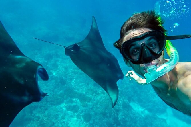 Nusa Penida Snorkeling 3 Point with Manta Bay & Land Tour - Morning snorkeling: Manta Bay, Gamat/Wall Point, and Crystal Bay