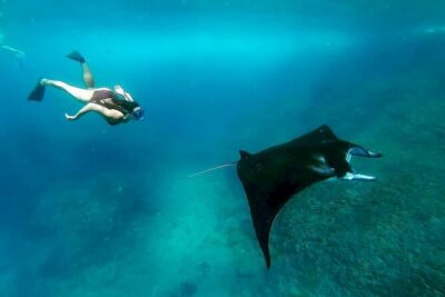 Nusa Penida Snorkeling 3 Point with Manta Bay & Land Tour - Lunch and timing: why the afternoon feels rushed