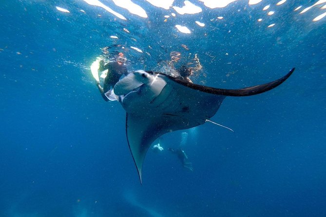 Nusa Penida Snorkeling Adventure (Private & All-Inclusive) - Photo and video: GoPro underwater memories without the stress