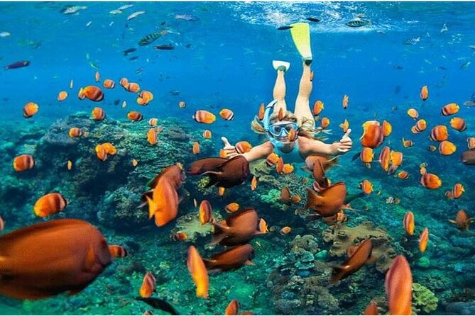 Nusa Penida Trip with Snorkeling all-Inclusive - Key highlights you’ll feel immediately