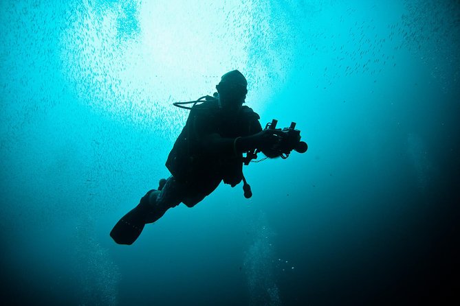 Nusa Penida Two Dives Trip for Certified Divers - Key highlights worth aiming for