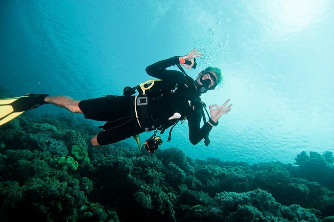 Nusa Penida Two Dives Trip for Certified Divers - Getting to Nusa Penida’s best underwater stops with less waiting