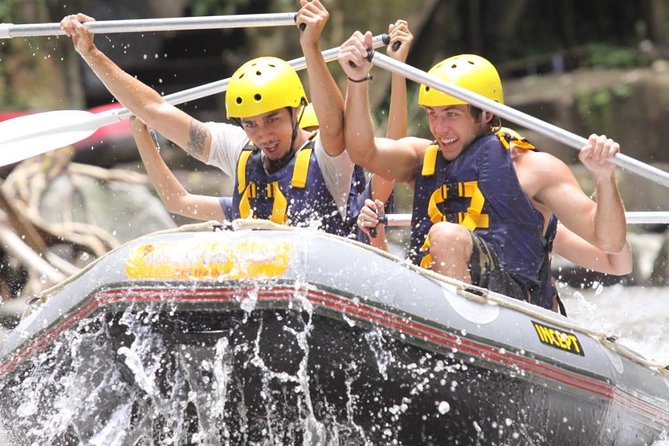 Premium Ayung River White Water Rafting in Bali - Key Things You’ll Notice on the Ayung River