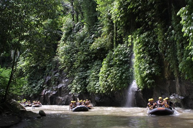 Premium Ayung River White Water Rafting in Bali - Safety Gear First: What Happens Before You Paddle