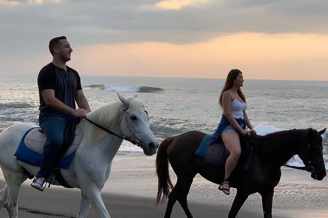 Private Bali Horse Riding In Seminyak Beach - Should you book this Seminyak Beach horse ride?