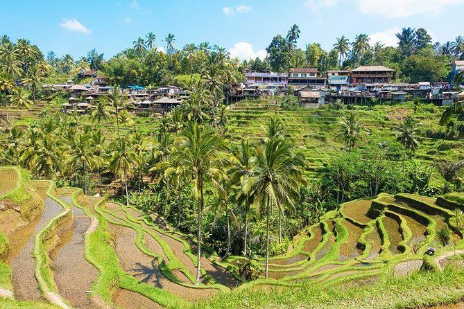Private Car Charter - Explore Best of Bali - Bedulu to Tampaksiring: Elephant Cave, Mount Kawi, and Mengening
