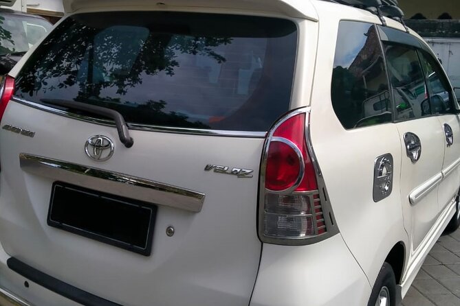 Private Car Charter: Hire Car with English Speaking Driver - Building your own Bali day: pacing, walking time, and costs