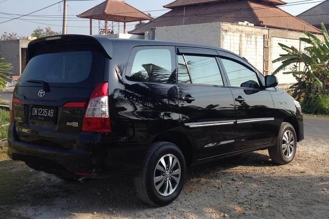Private Car Charter in Bali with an English-speaking Driver - What Reviews Get Right: The Most Praised Driver-Day Moments