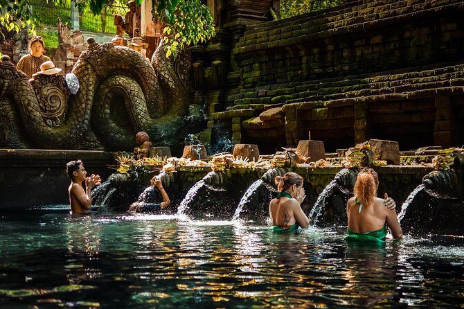 Private Day Tour: The Highlight of Ubud - Door-to-Door Private Day Through Ubud’s Greatest Hits
