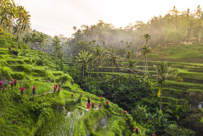 Private Full-Day Tour: Balinese Temples and Rice Terraces - Tirta Empul holy water purification