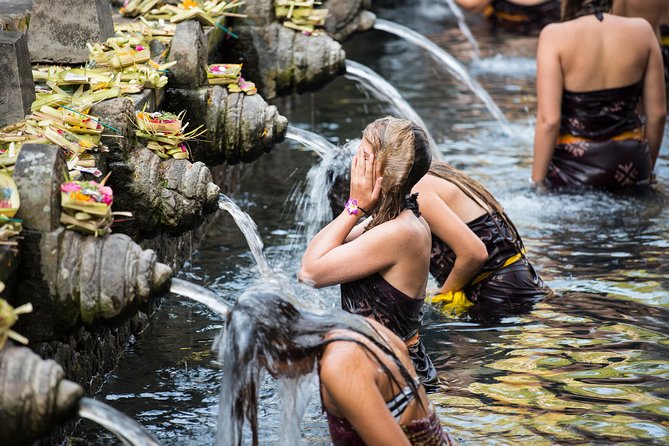 Private Full-Day Tour: Balinese Temples and Rice Terraces - Who should book this temples and rice terraces tour
