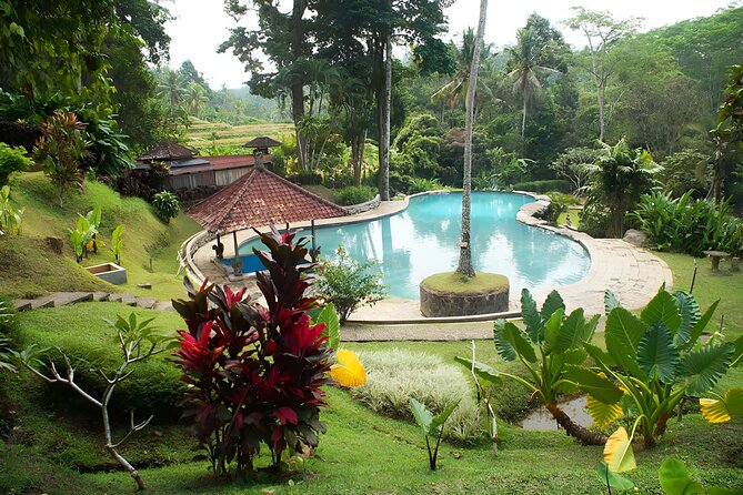 Private Full-Day Tour: Discover The Best of Bali Destination - Stop 4: Jatiluwih Rice Terraces for Sweeping Views