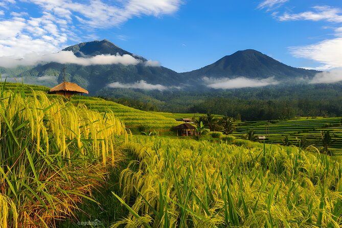 Private Full-Day Tour: Discover The Best of Bali Destination - Stop 1: Tamblingan and Buyan Lakes in the Highlands