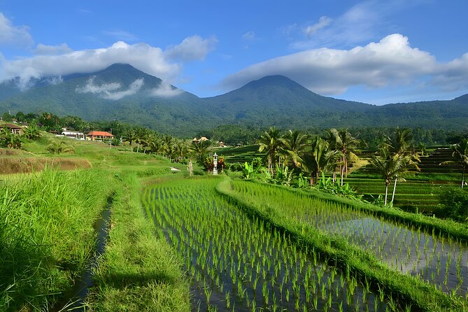 Private Full-Day Tour: Ulun Danu Beratan Temple, Jatiluwih and Tanah Lot Temple - The route from Seminyak: why this full-day combo makes sense