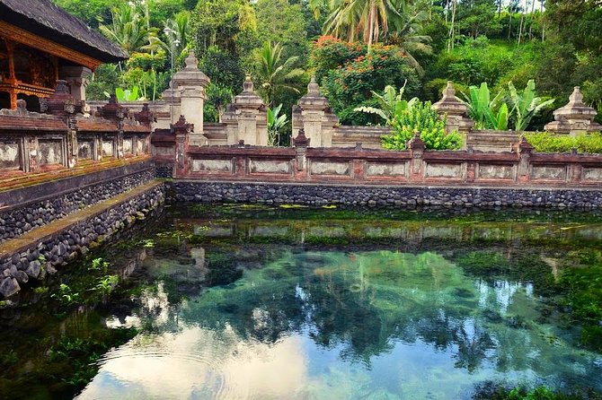 Private Tour: Bali in a Day - Tegalalang Rice Terraces: subak irrigation in action