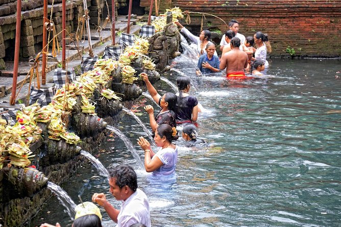 Private Tour: Ubud Highlights - Ubud Palace: architecture, routines, and a chance at ceremony