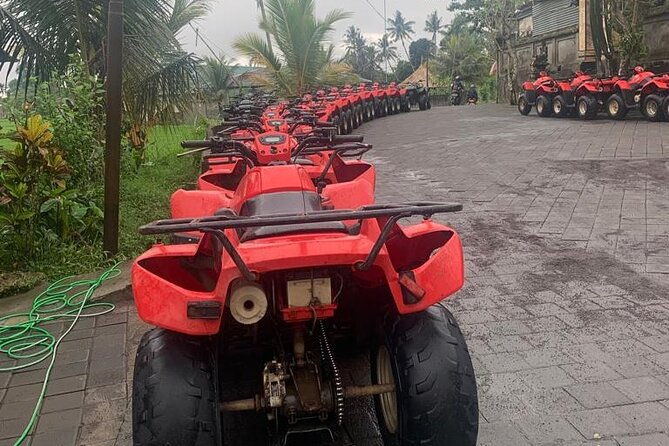 Quadbike Adventure with Tunnel and Waterfall Tour in Bali - Waterfall stop: where the splashes happen