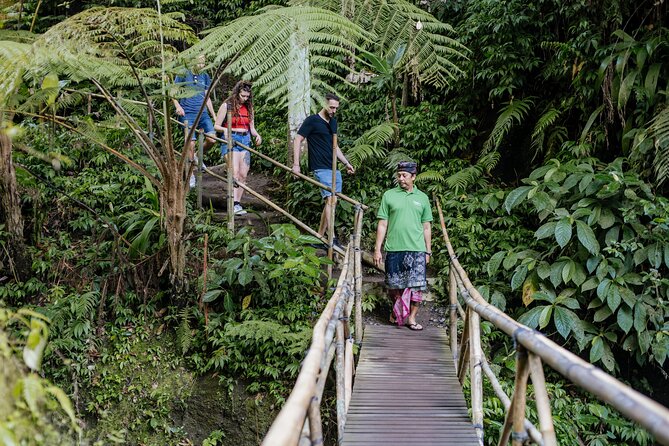 Quick Access: The Bali Instagram Small Group Tour - Tegalalang Rice Terraces: UNESCO walk-through photos without the guesswork