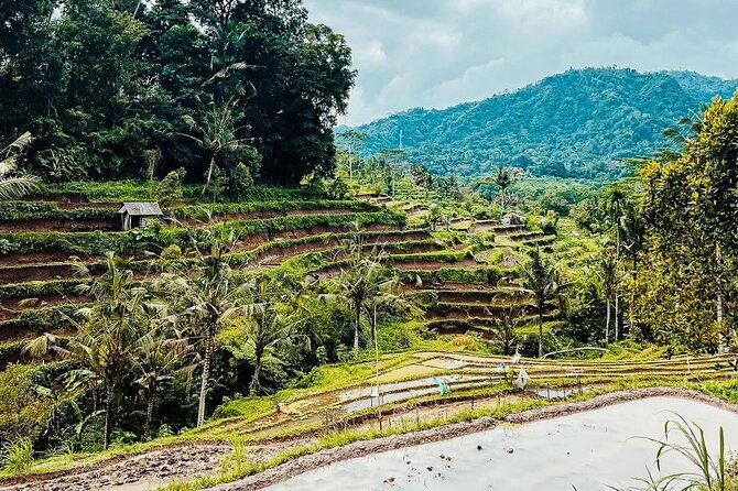 Sidemen Trekking: A Walk from a Different Perspective - Sidemen on foot: why this trek feels real (and not staged)
