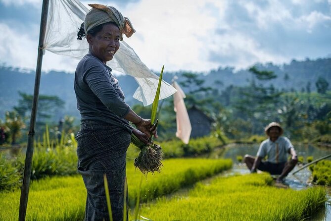 Sidemen Trekking: A Walk from a Different Perspective - The walking route: market streets to rice paddy terraces