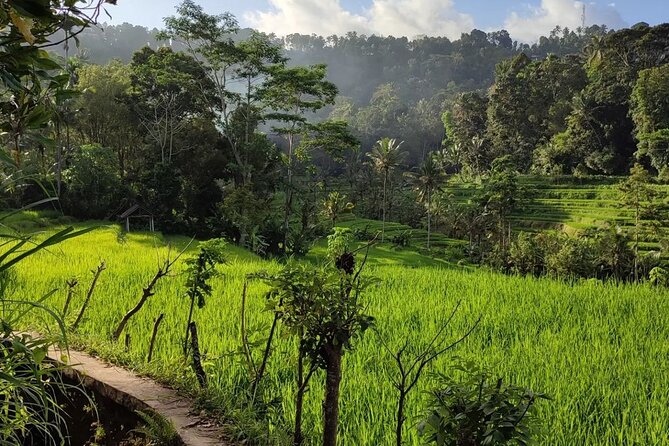 Sidemen Trekking: A Walk from a Different Perspective - Your guide makes it click: Adidas, Adi, Darya, and more