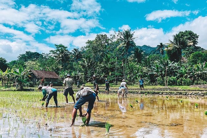 Sidemen Trekking: A Walk from a Different Perspective - What to bring: the practical gear list that actually matters