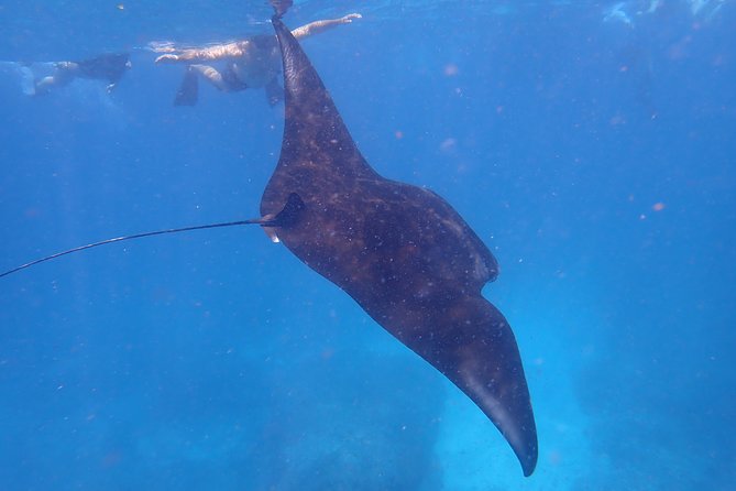 Snorkeling Day Trip To Lembongan and Penida - Where the day starts: Serangan Port and your hotel pickup