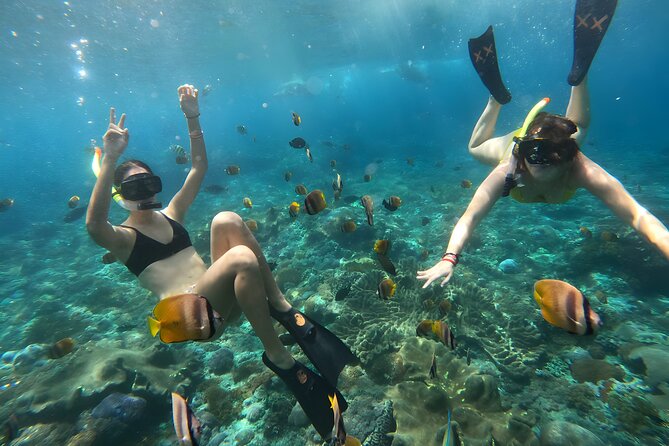 Snorkeling In Nusa Penida Departing From Bali Island - Speedboat to Nusa Penida: public means “shared,” not private